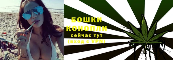 СК Краснослободск