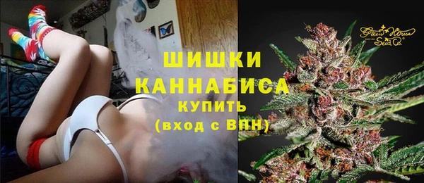СК Краснослободск